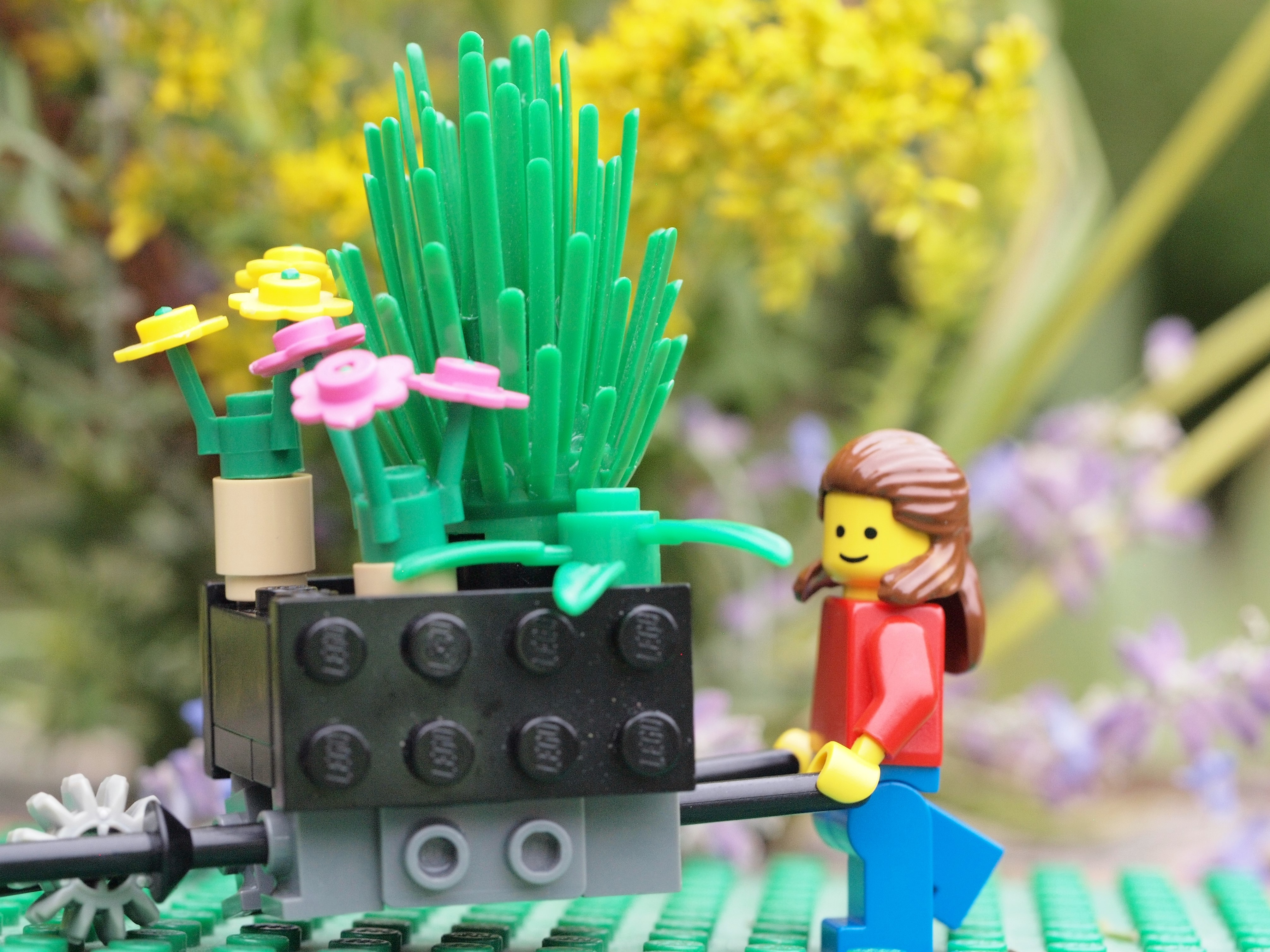 OLYMPUS DIGITAL CAMERA