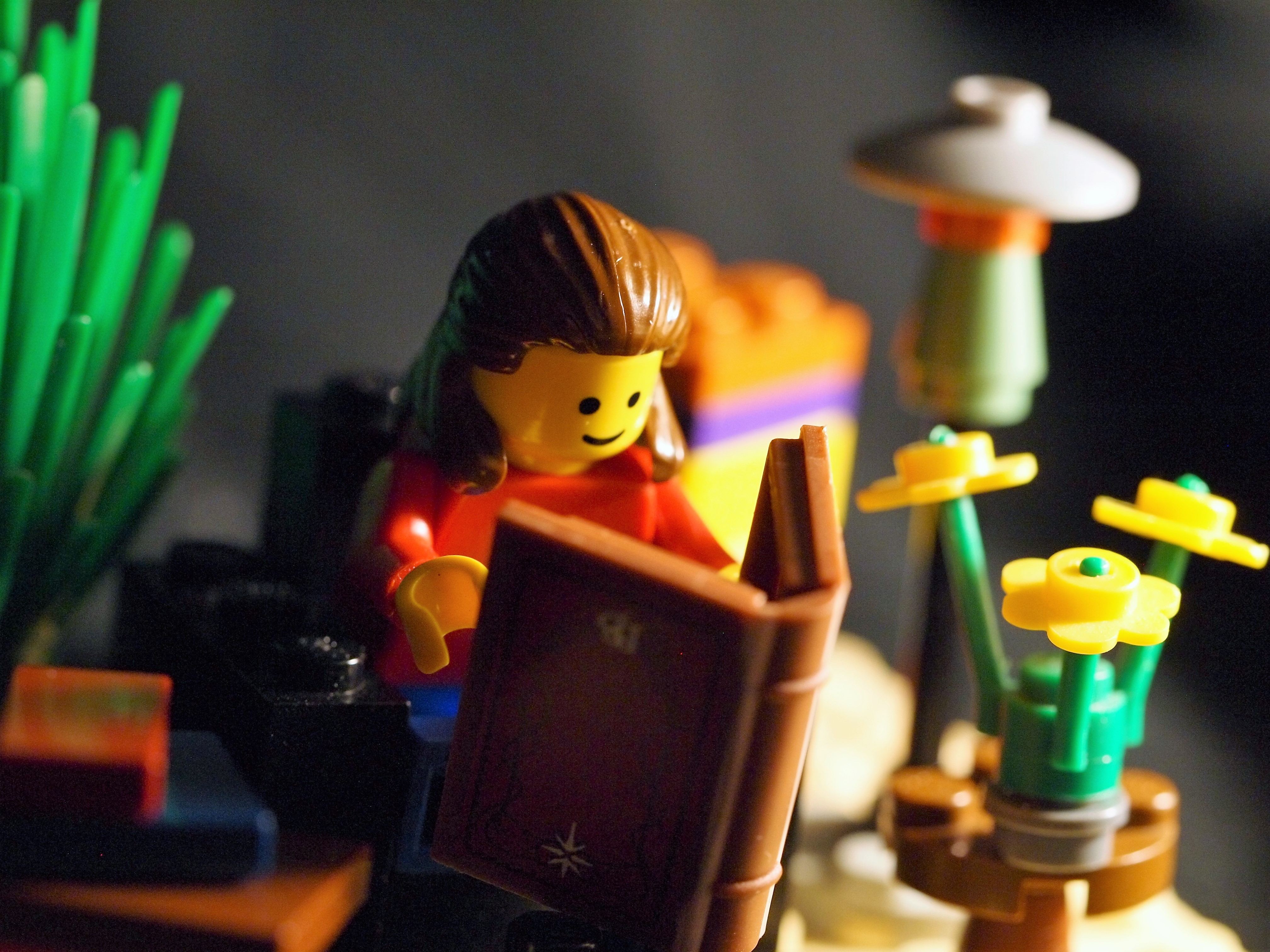 OLYMPUS DIGITAL CAMERA